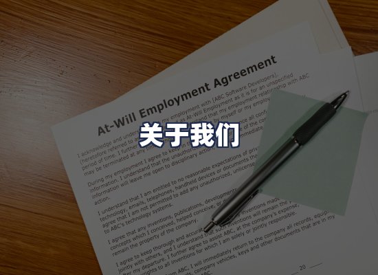 关于我们